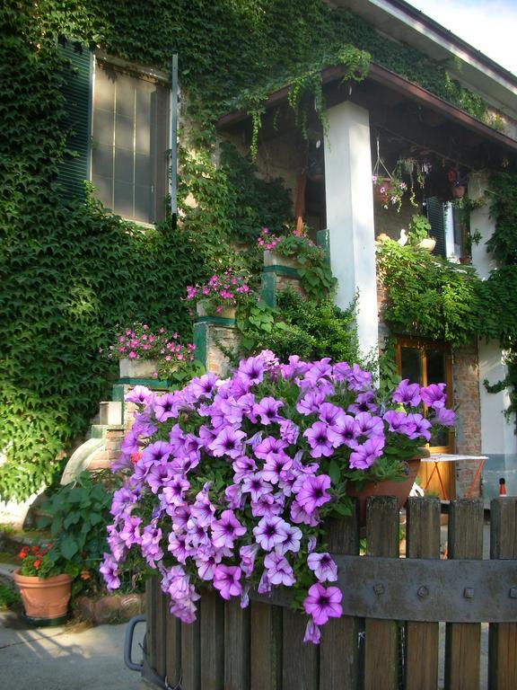 Cascina Beneficio Villa Castelnuovo Bormida Exterior foto